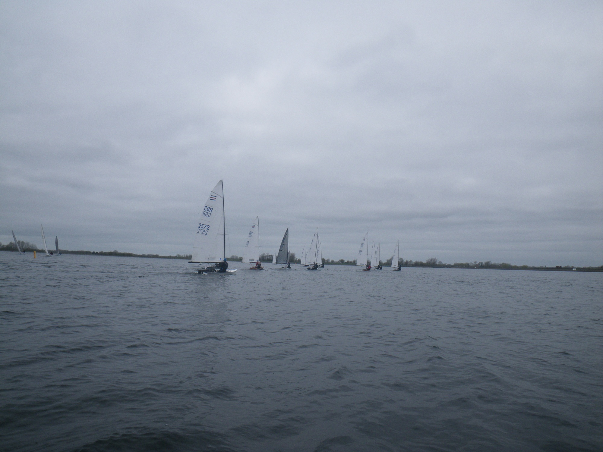 IMGP0206