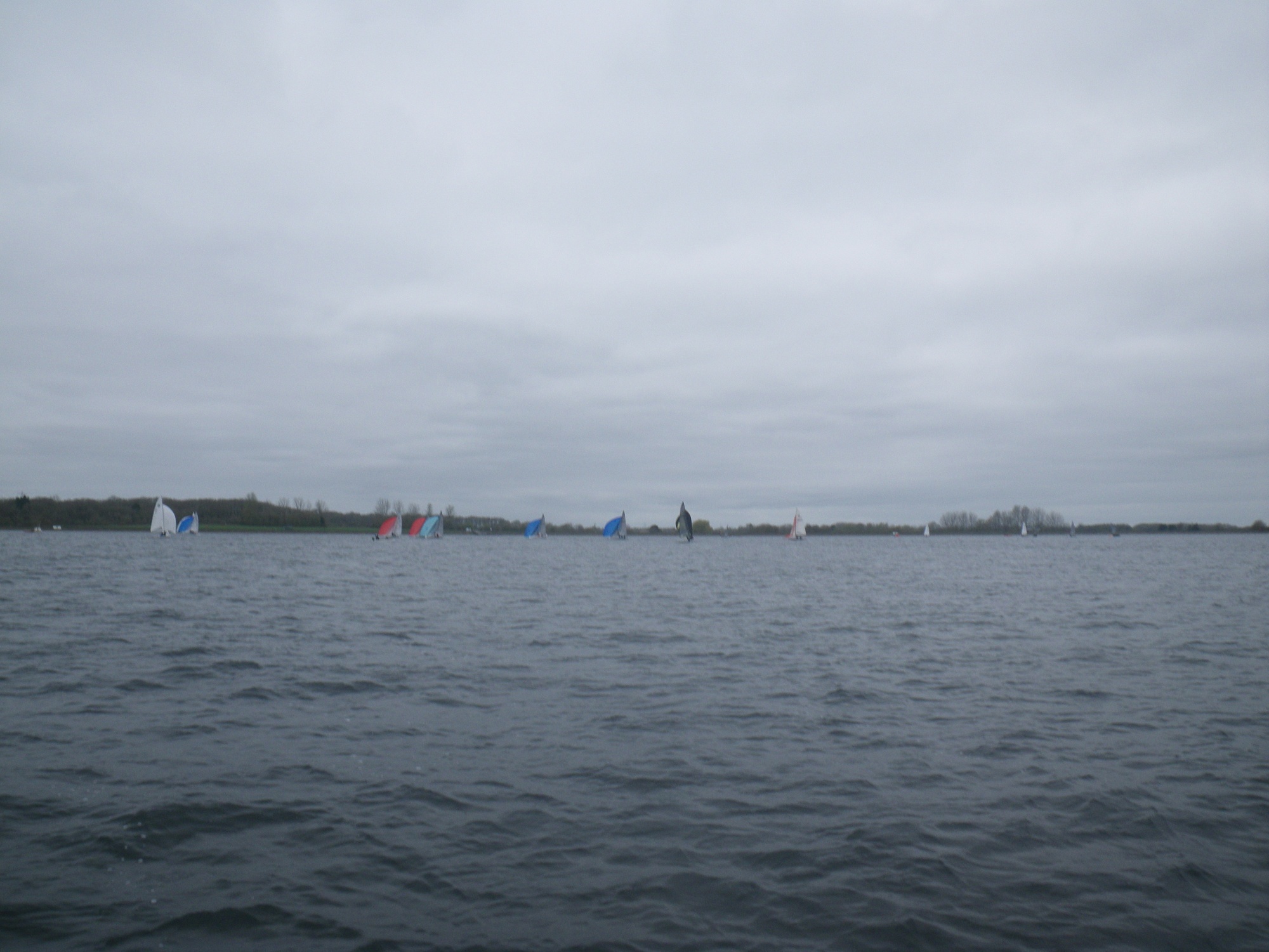 IMGP0219